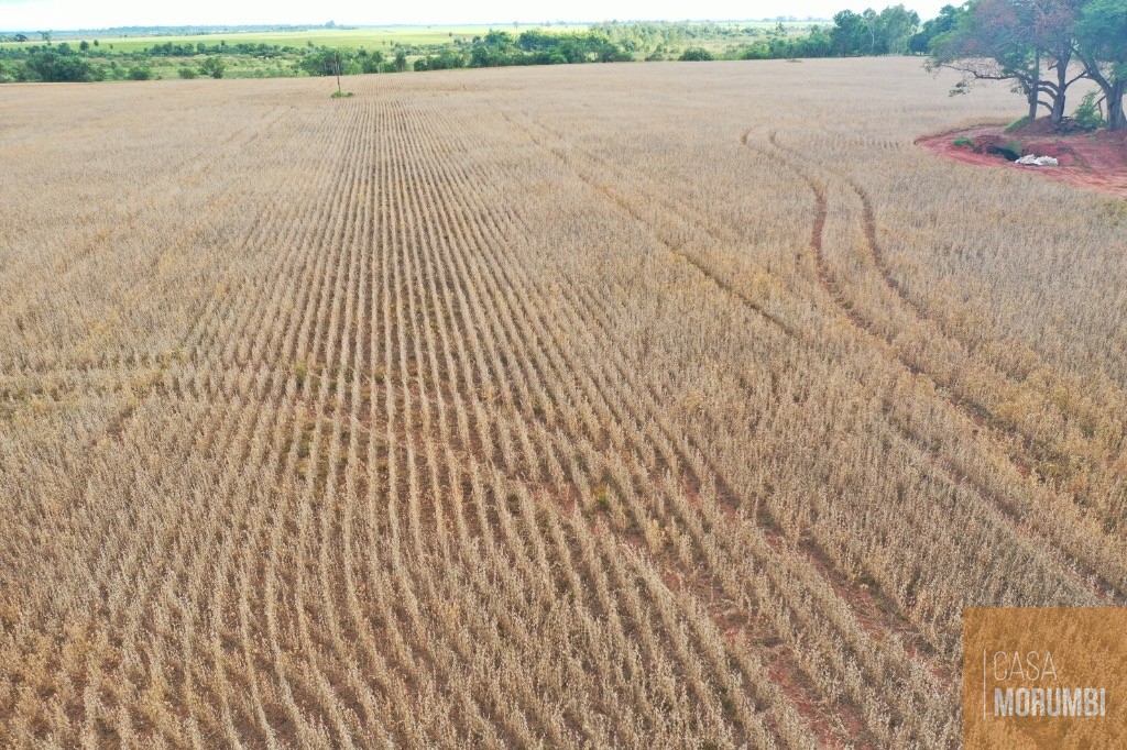 Fazenda, 2000 m² - Foto 4