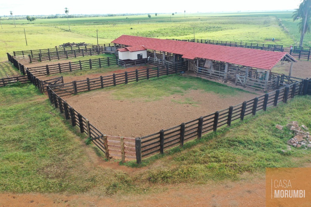 Fazenda, 2000 m² - Foto 6