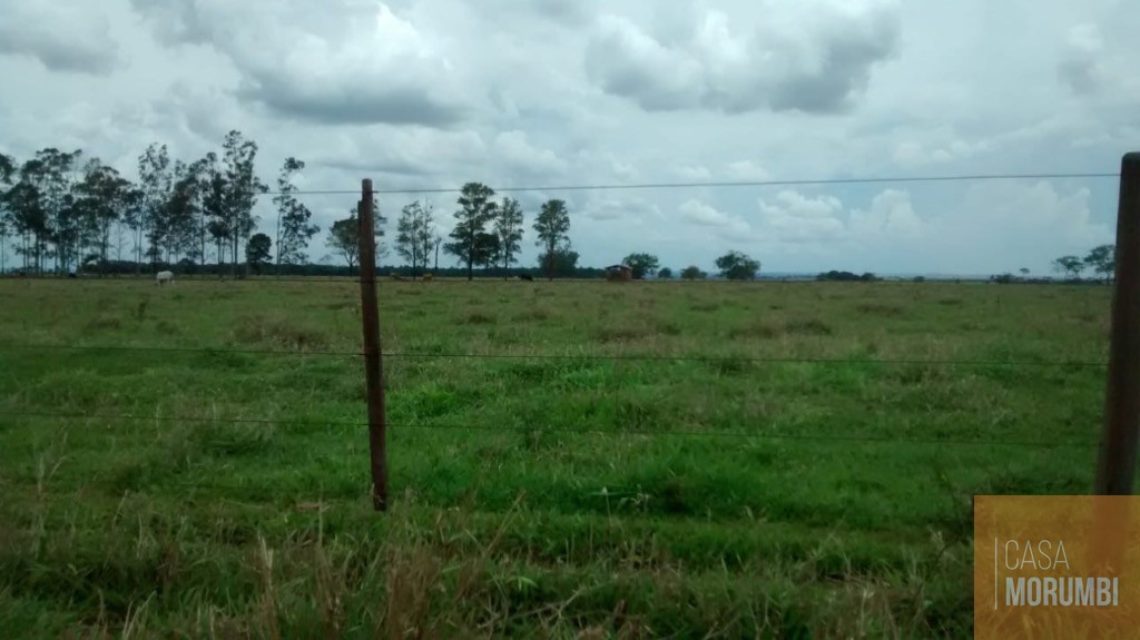 Fazenda, 610 m² - Foto 6