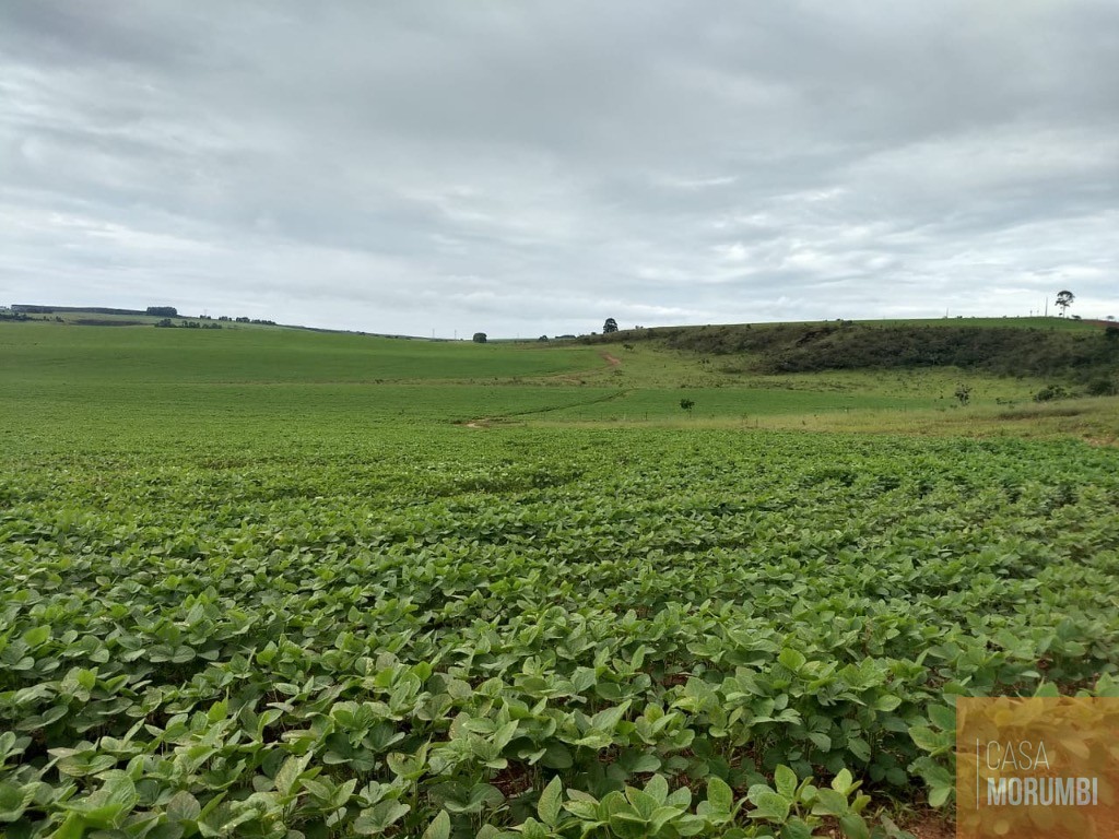 Fazenda, 483 m² - Foto 21