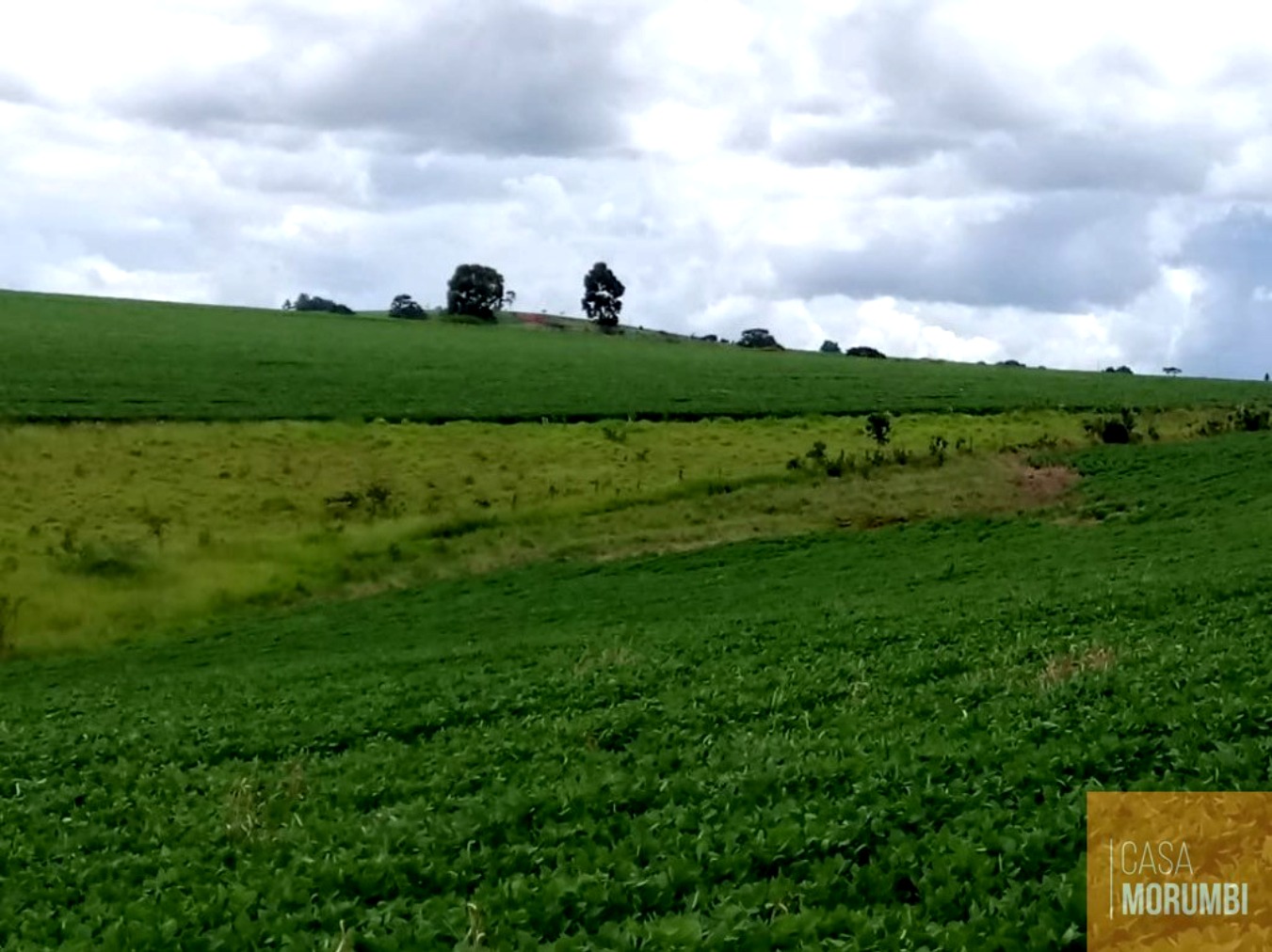 Fazenda, 483 m² - Foto 1