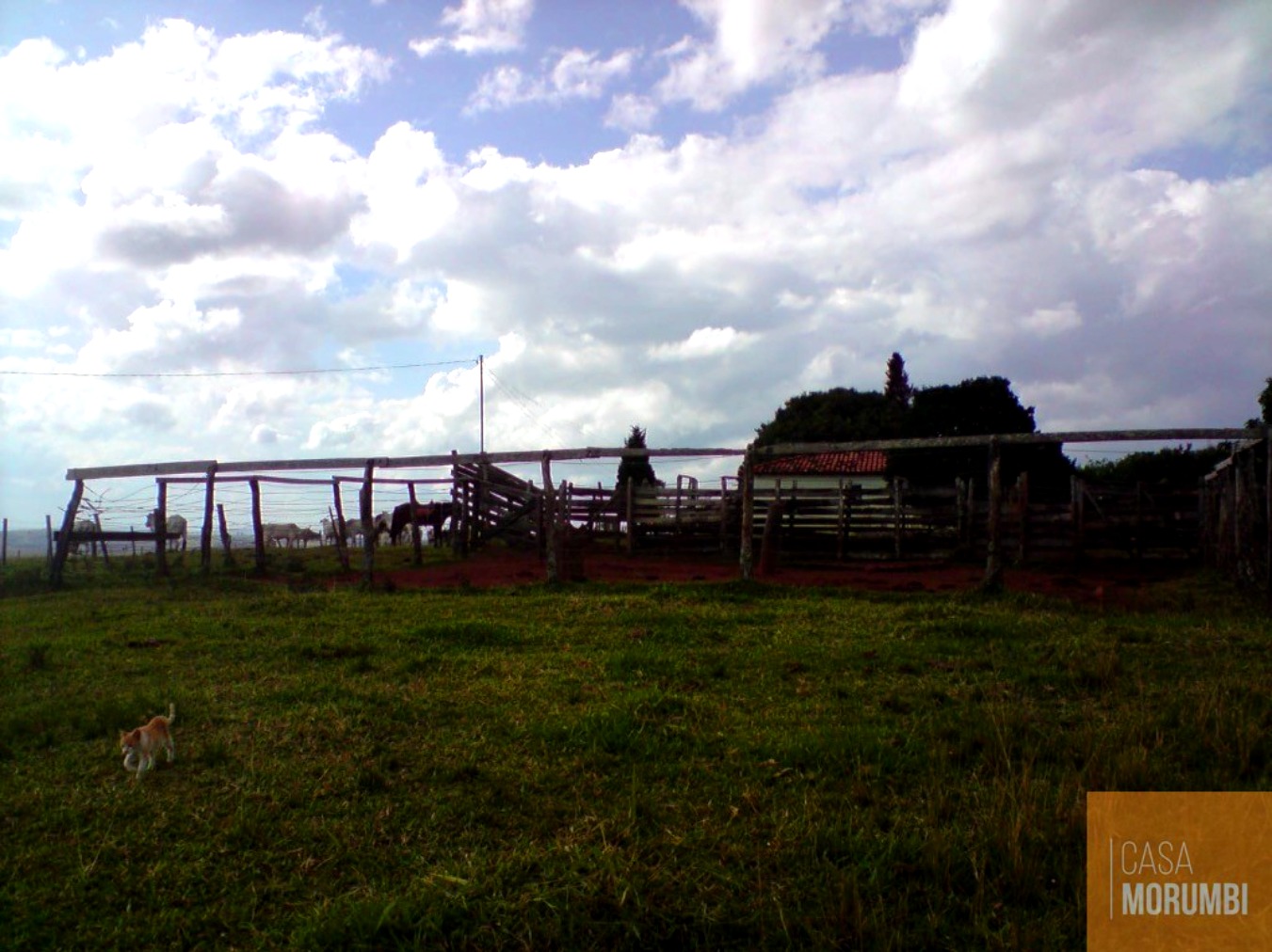 Fazenda, 483 m² - Foto 5