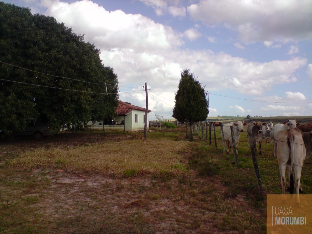 Fazenda, 483 m² - Foto 6