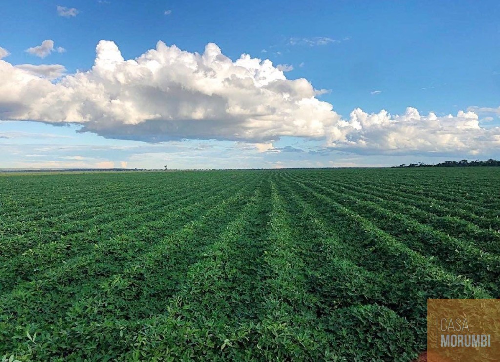 Fazenda, 5068 m² - Foto 12