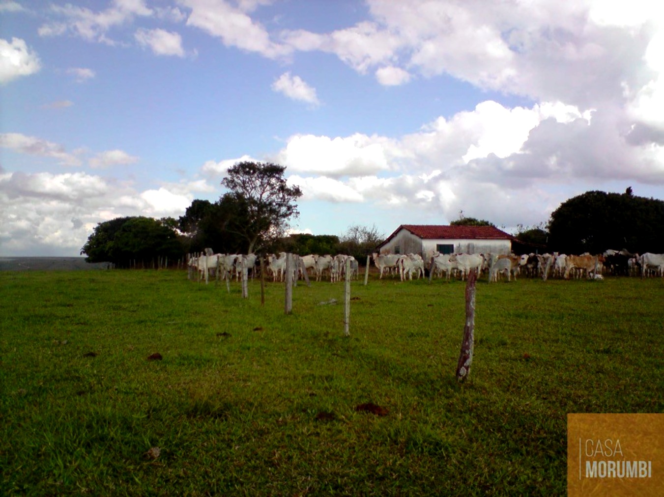 Fazenda, 483 m² - Foto 3