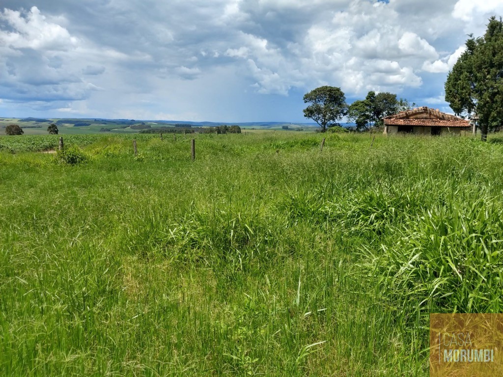 Fazenda, 483 m² - Foto 34