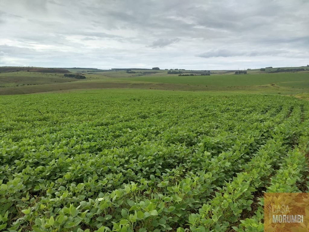 Fazenda, 483 m² - Foto 24