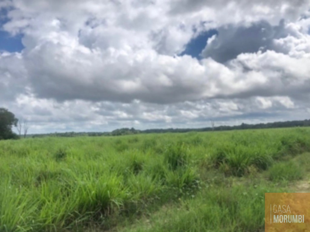 Fazenda, 3653 m² - Foto 5