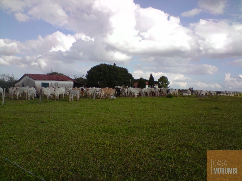 Fazenda, 483 m² - Foto 4