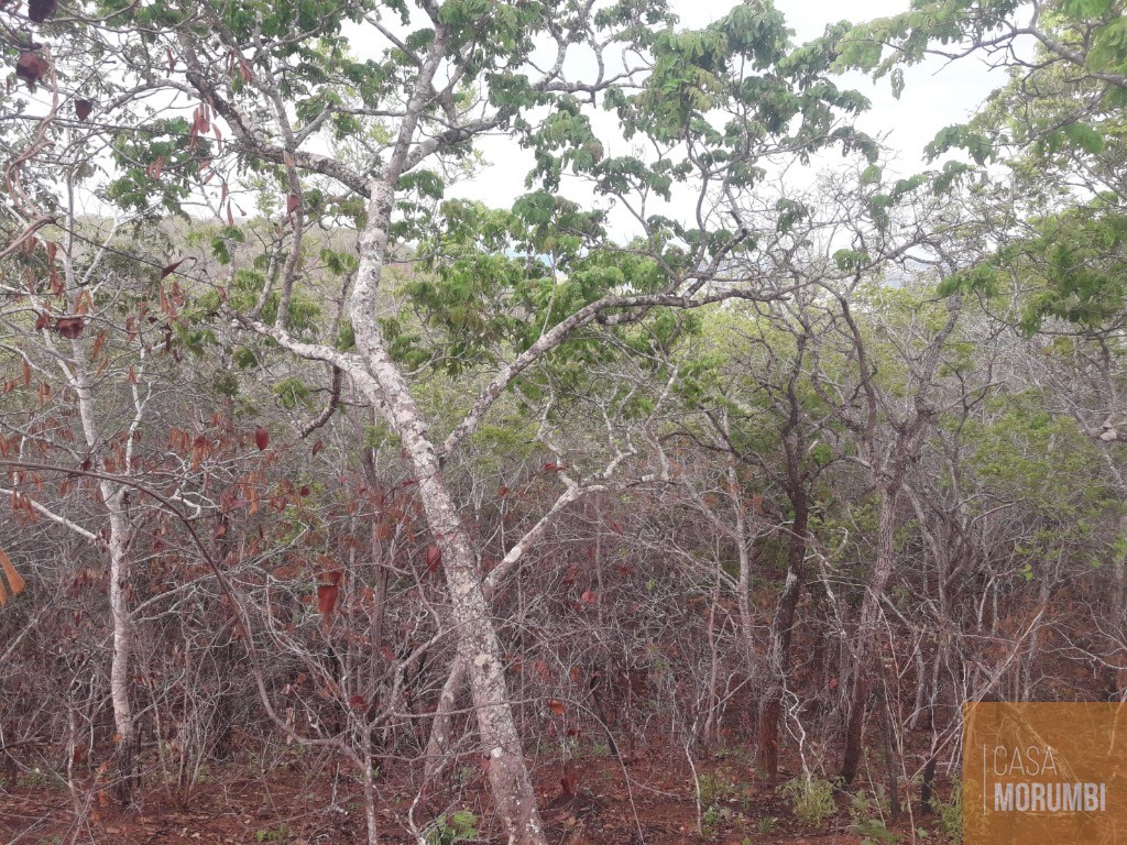 Fazenda, 940 m² - Foto 9