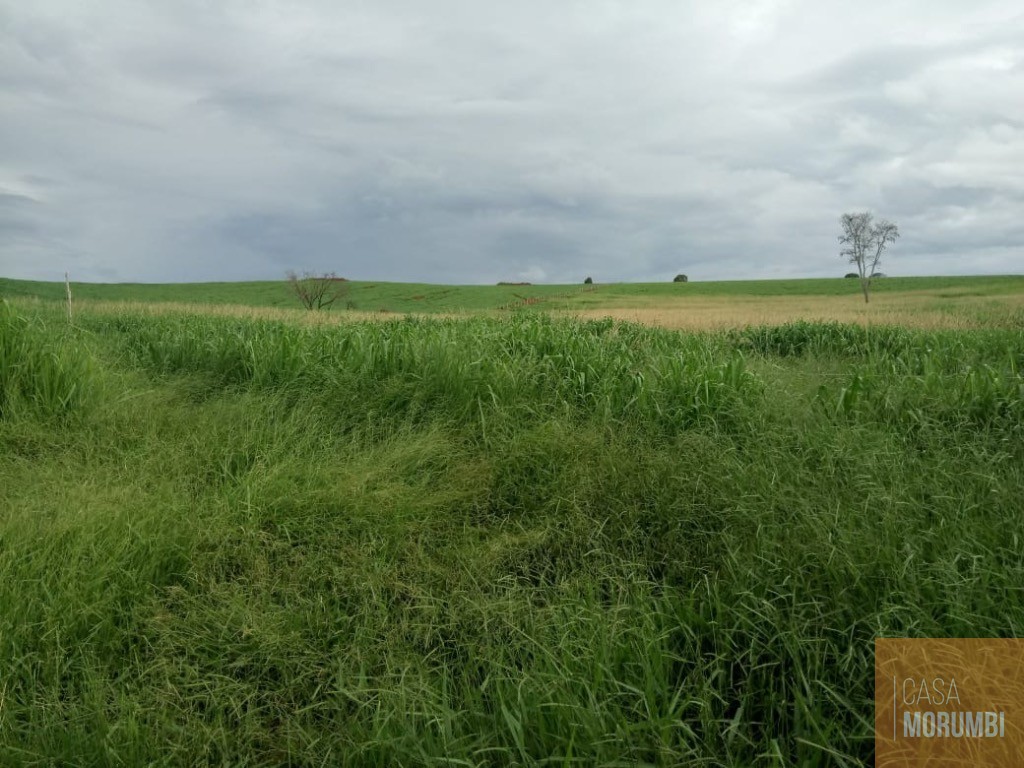 Fazenda, 483 m² - Foto 19