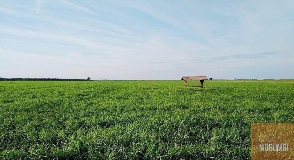 Fazenda, 5068 m² - Foto 15