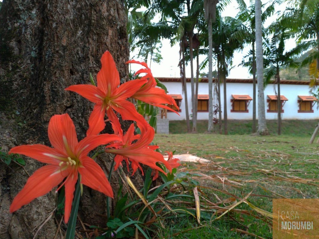 Fazenda, 384 m² - Foto 11