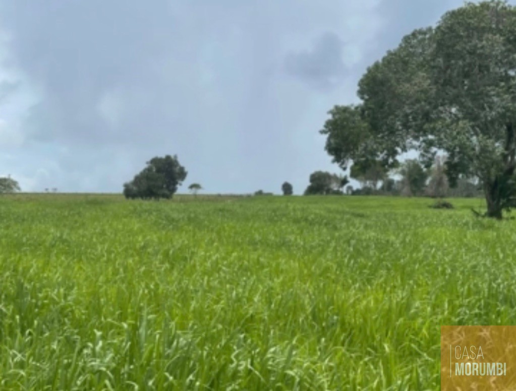 Fazenda, 3653 m² - Foto 4