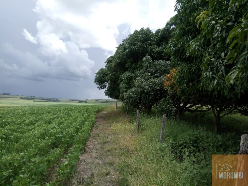 Fazenda, 483 m² - Foto 16