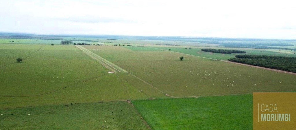 Fazenda, 5068 m² - Foto 22