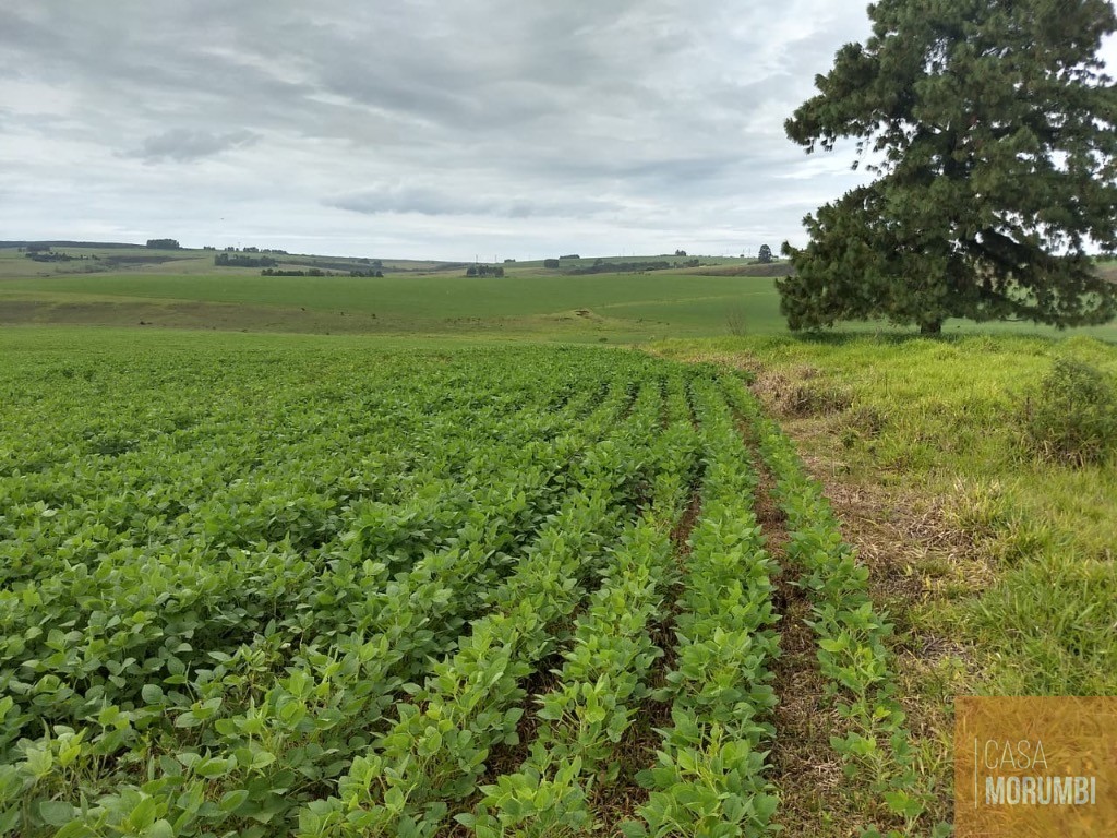 Fazenda, 483 m² - Foto 26