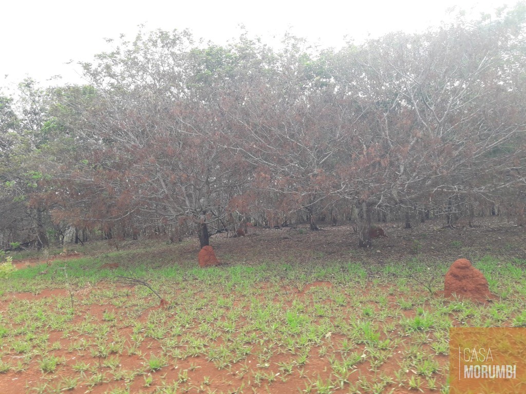 Fazenda, 940 m² - Foto 7