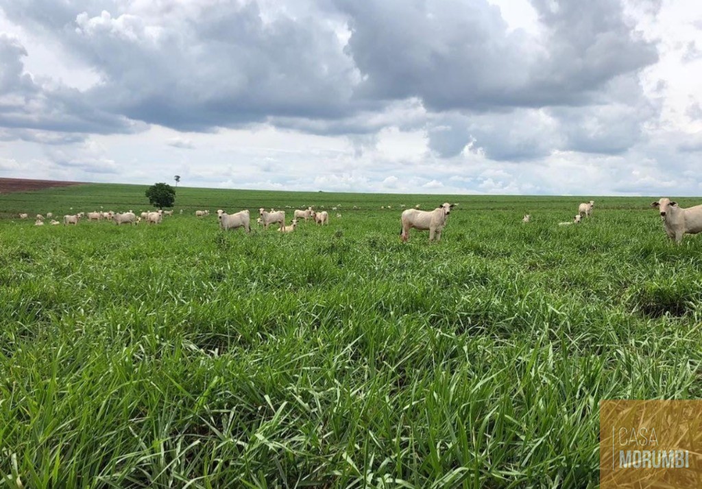 Fazenda, 5068 m² - Foto 11