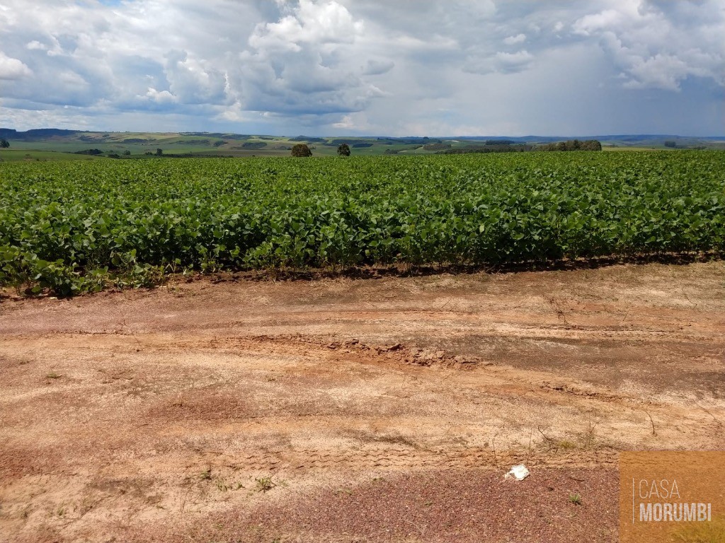 Fazenda, 483 m² - Foto 28