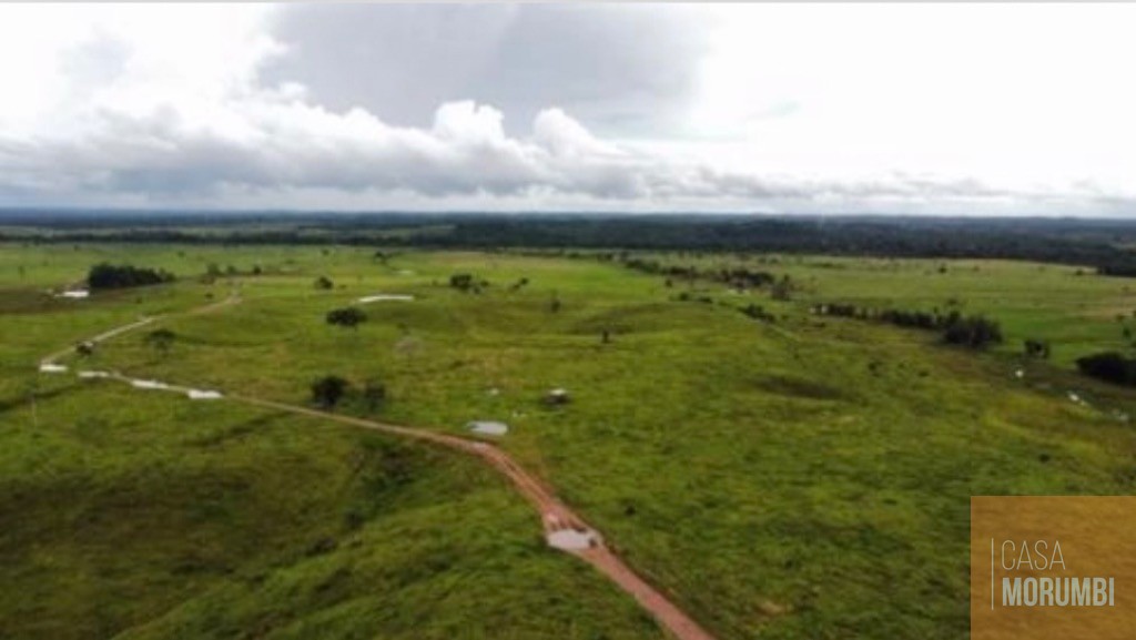 Fazenda, 3653 m² - Foto 2