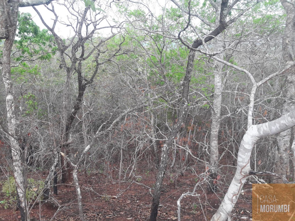 Fazenda, 940 m² - Foto 11