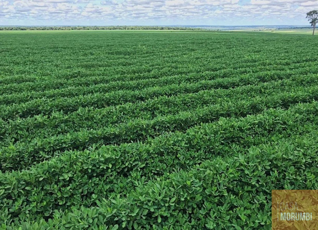 Fazenda, 5068 m² - Foto 17