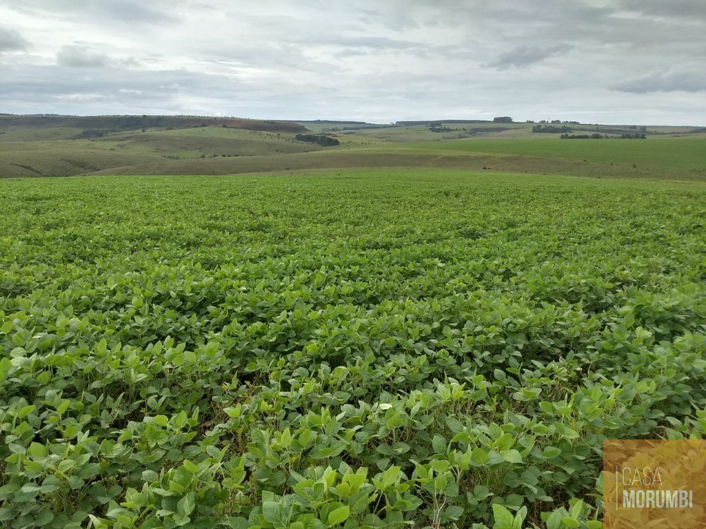 Fazenda, 483 m² - Foto 23