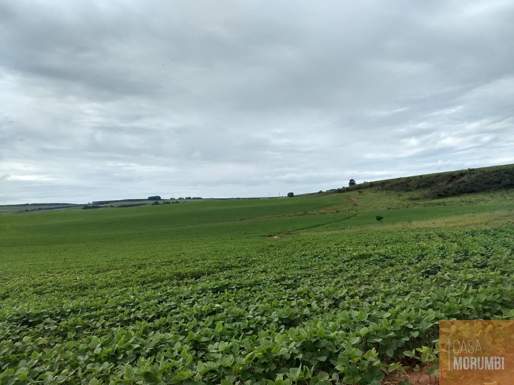 Fazenda, 483 m² - Foto 20