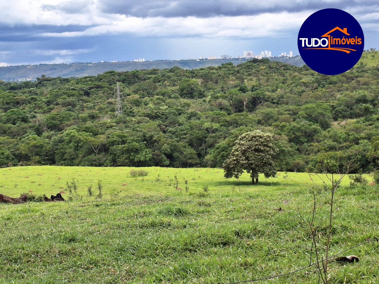 Chácara, 1 quarto, 3000 m² - Foto 4