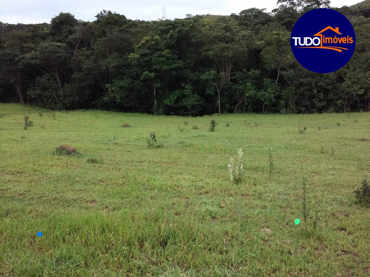 Chácara, 1 quarto, 3000 m² - Foto 10