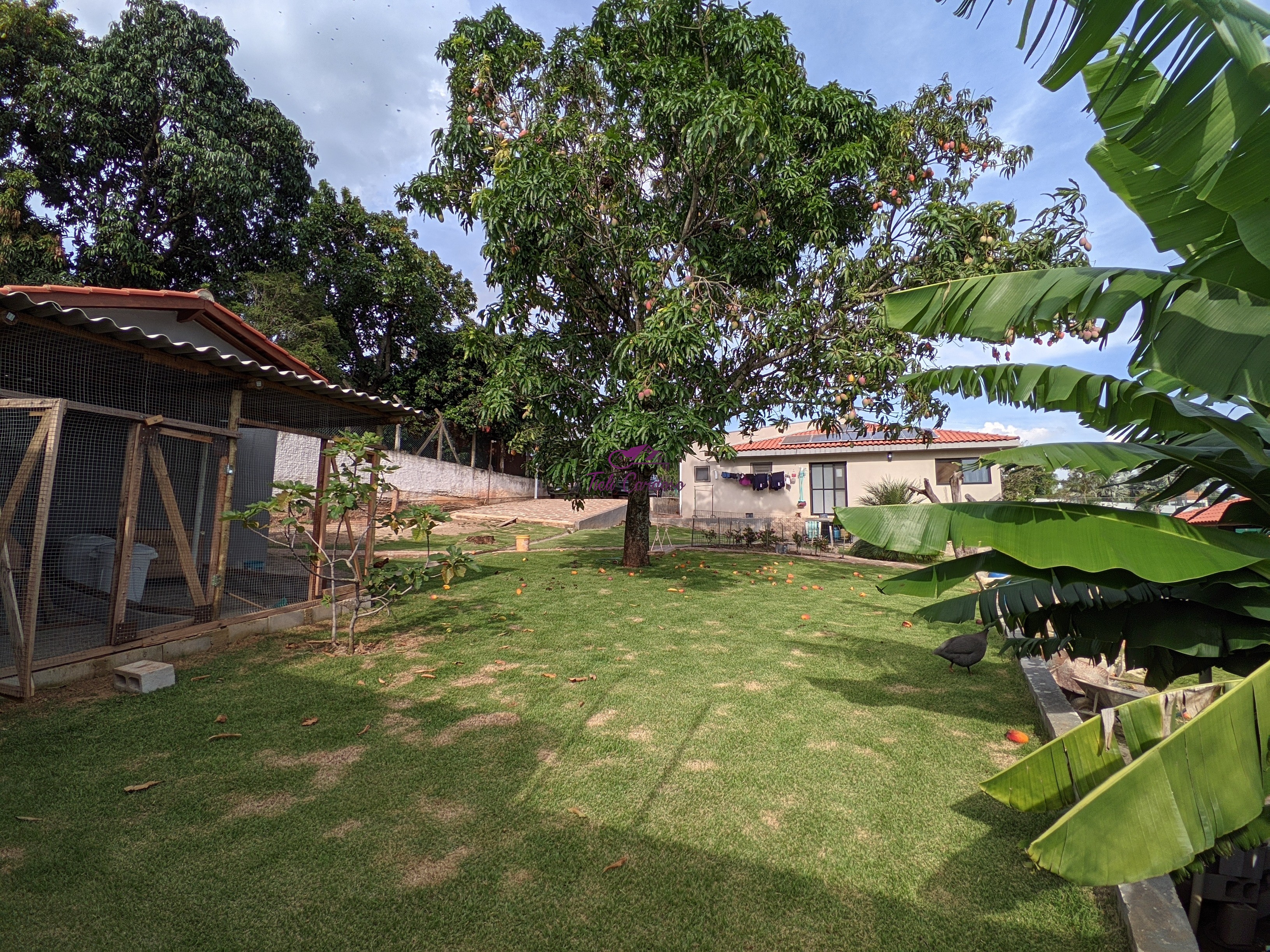 Chácara, 3 quartos - Foto 63