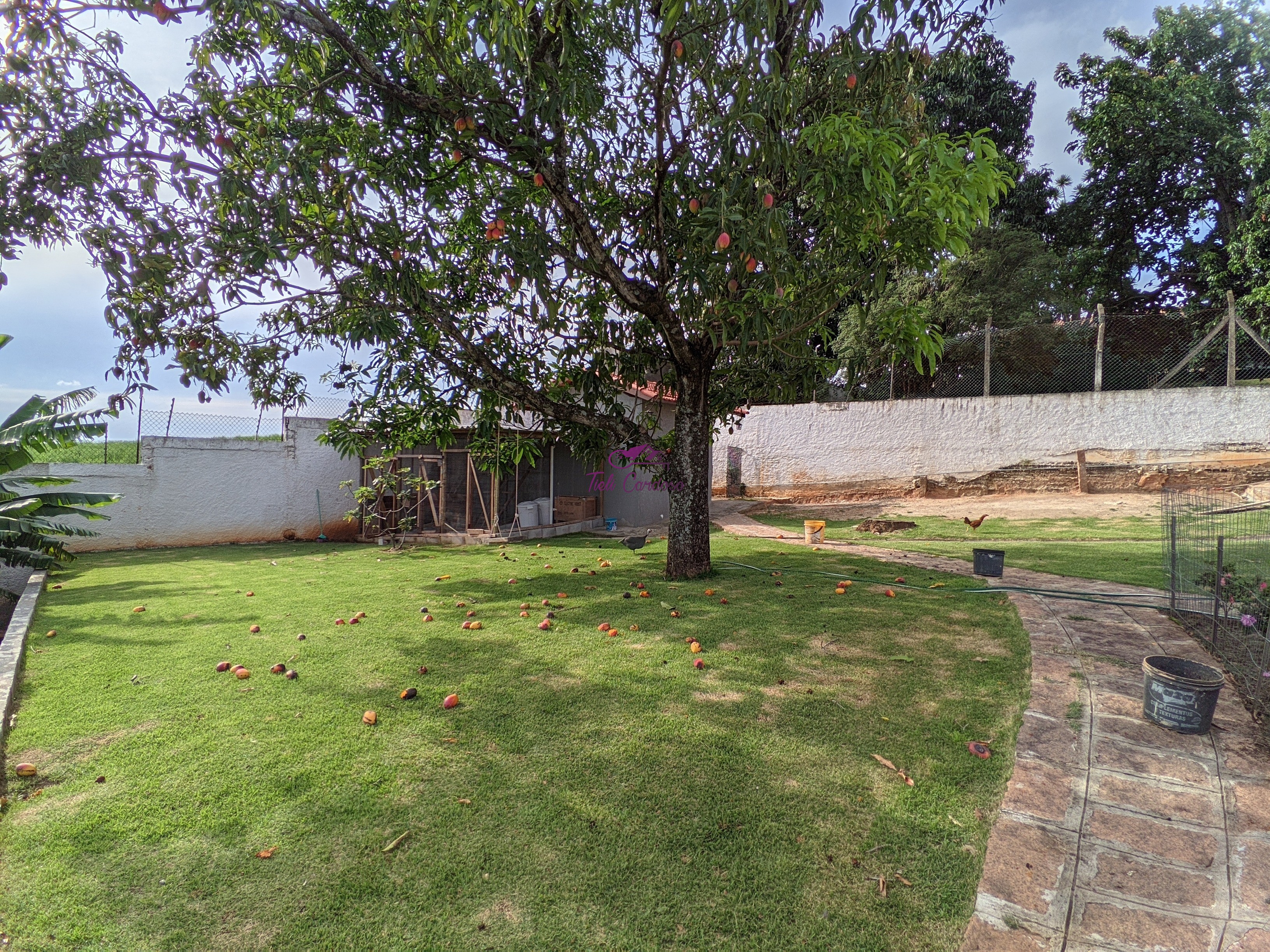 Chácara, 3 quartos - Foto 62