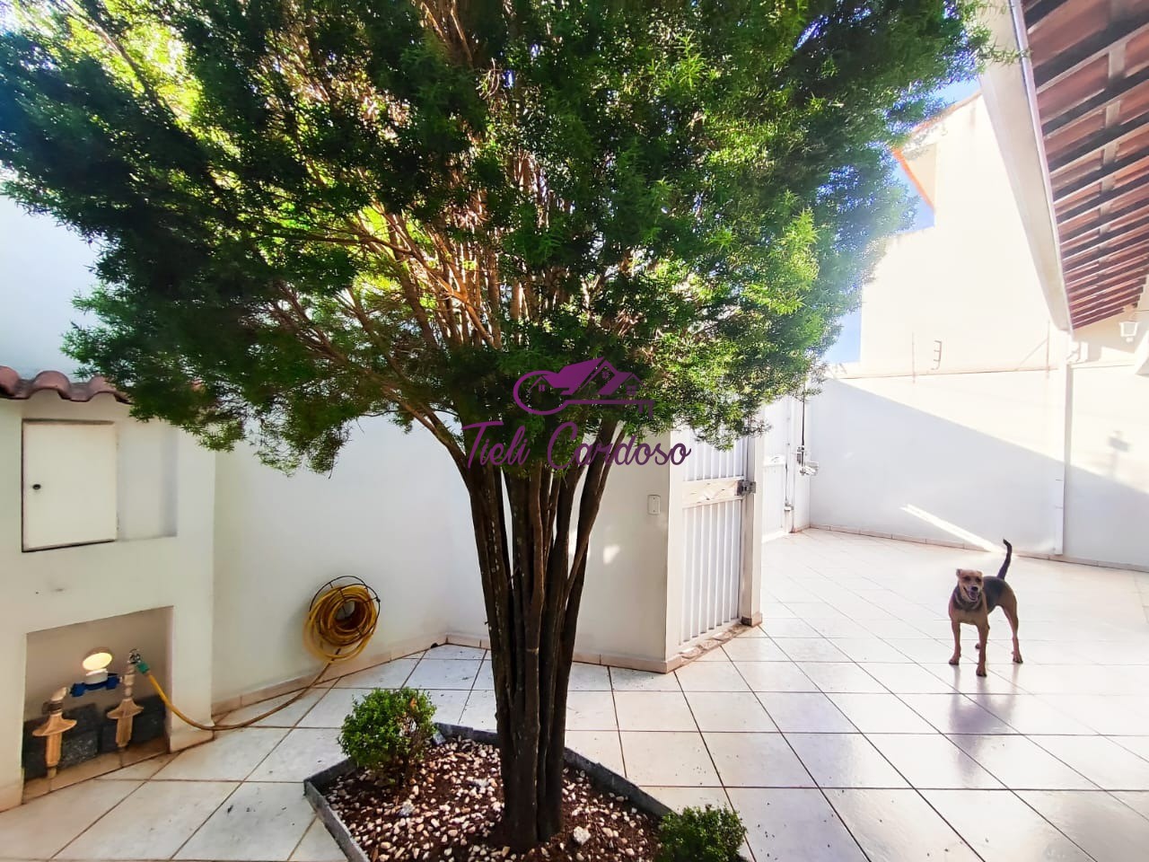 Casa, 3 quartos - Foto 2