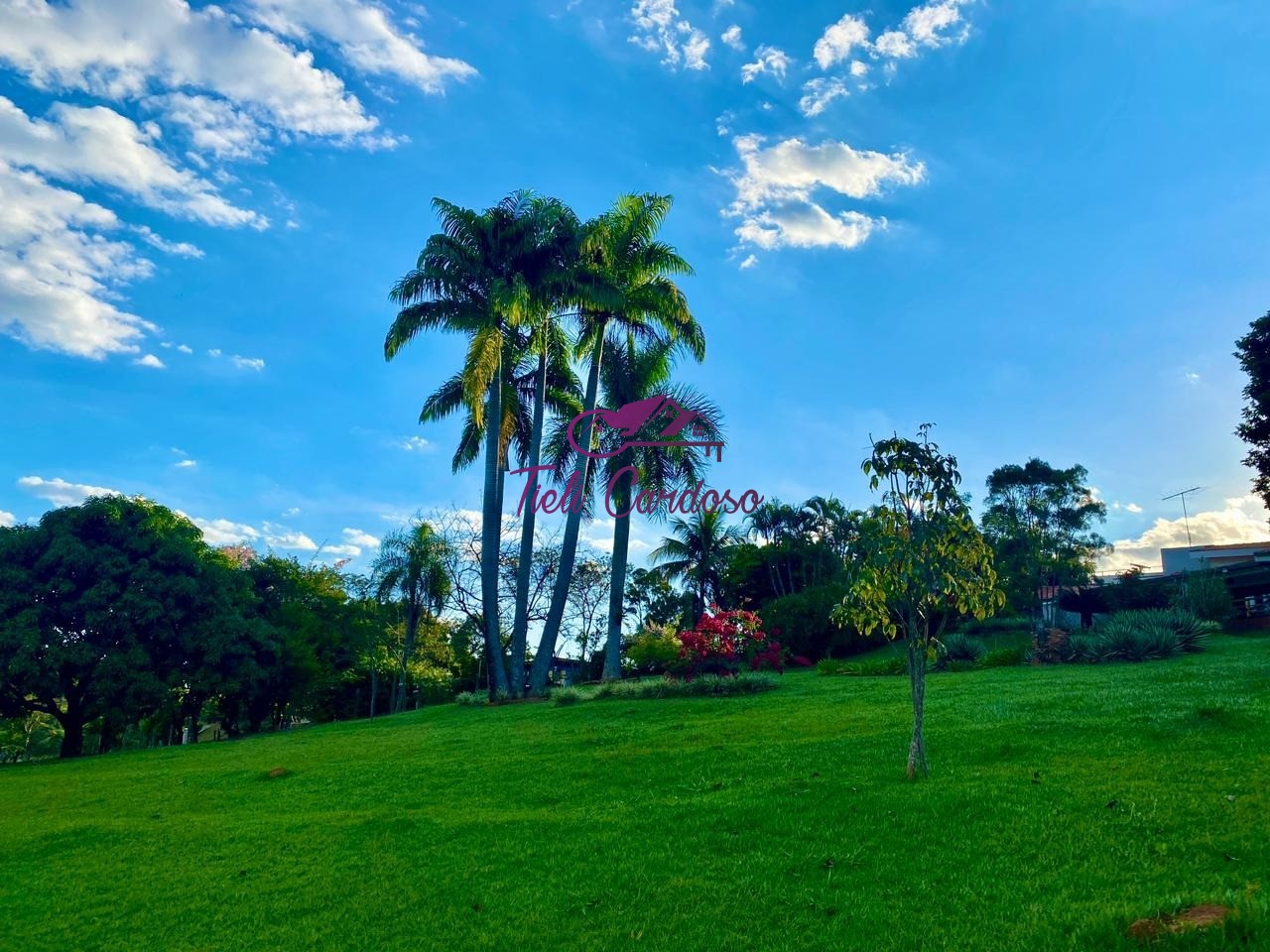 Chácara, 3 quartos, 5000 m² - Foto 18