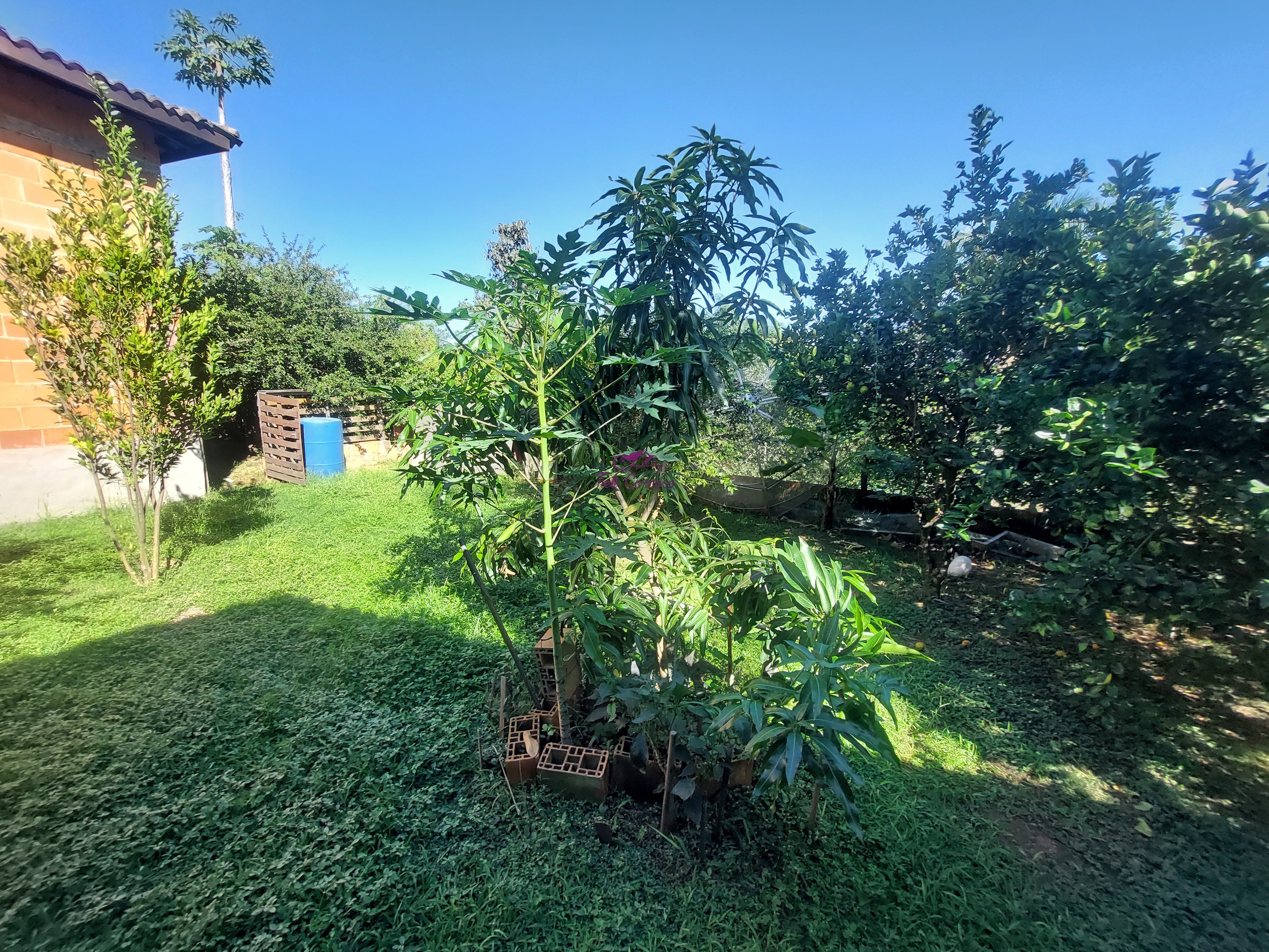 Chácara, 3 quartos, 700 m² - Foto 32