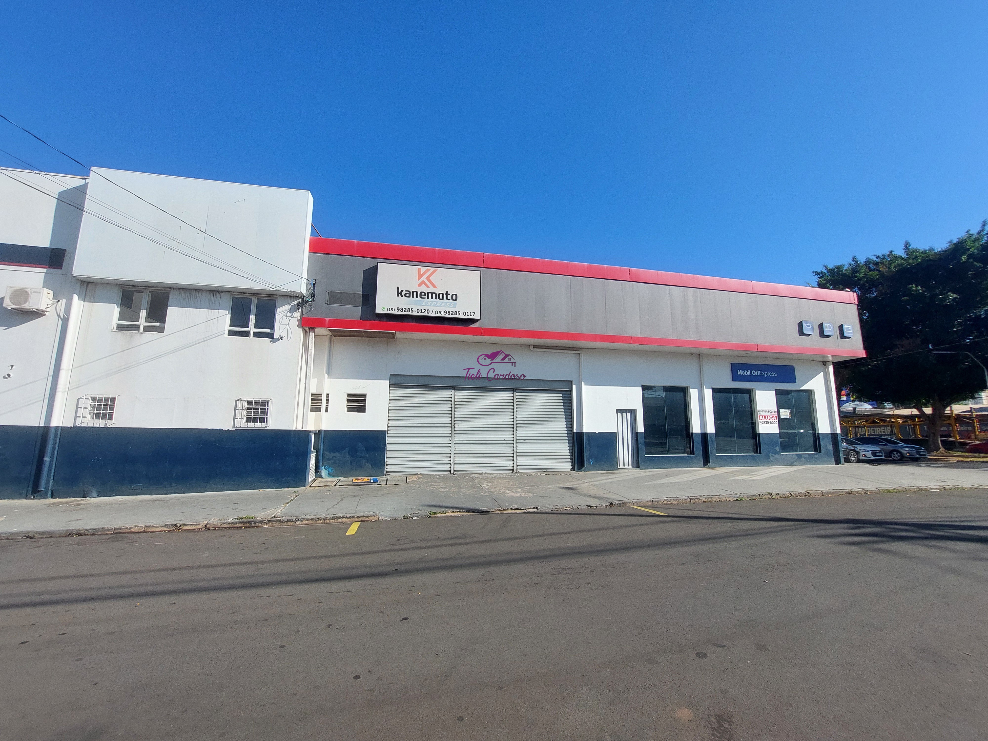 Loja-Salão, 1150 m² - Foto 3