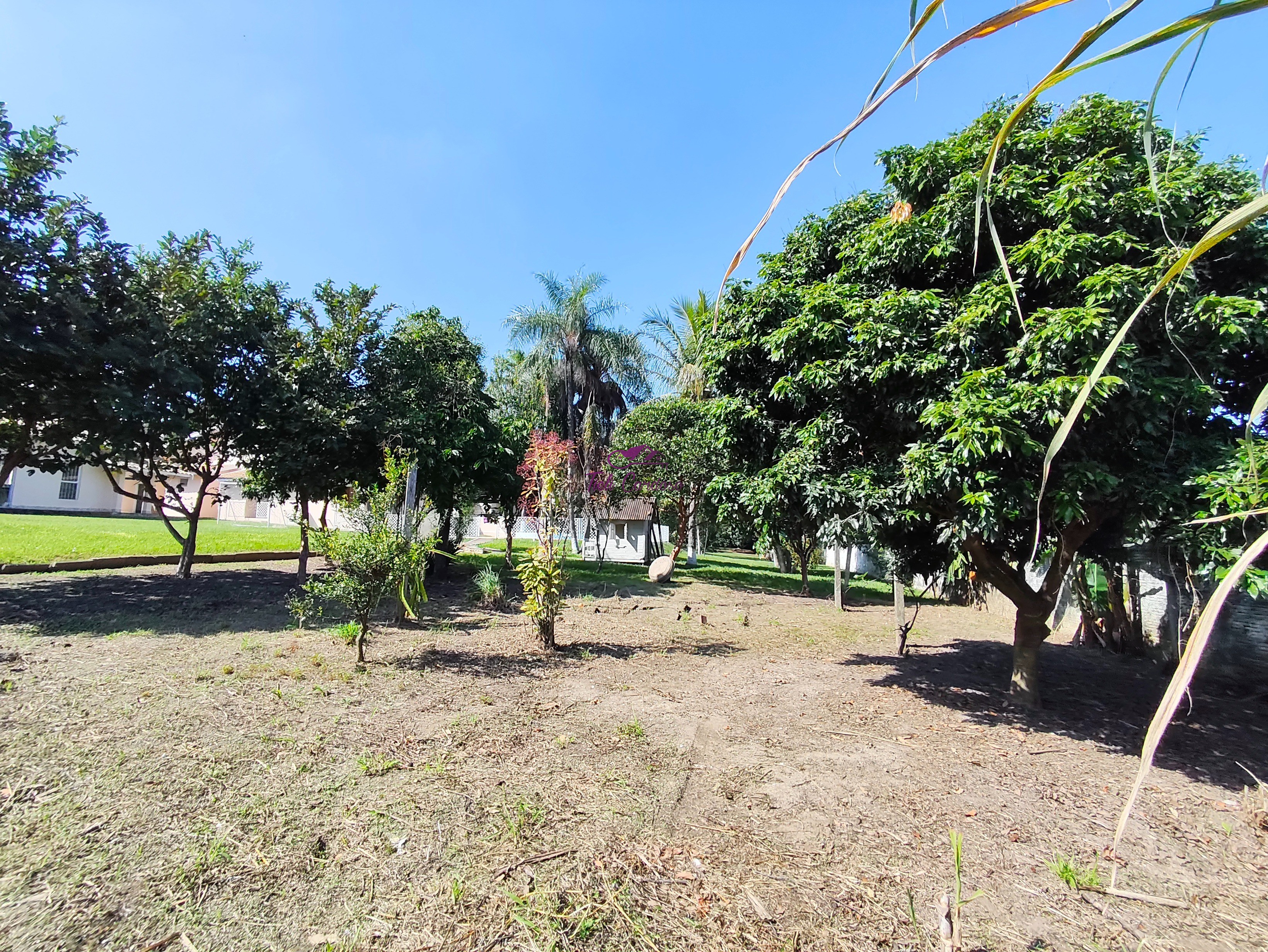 Chácara, 4 quartos - Foto 10