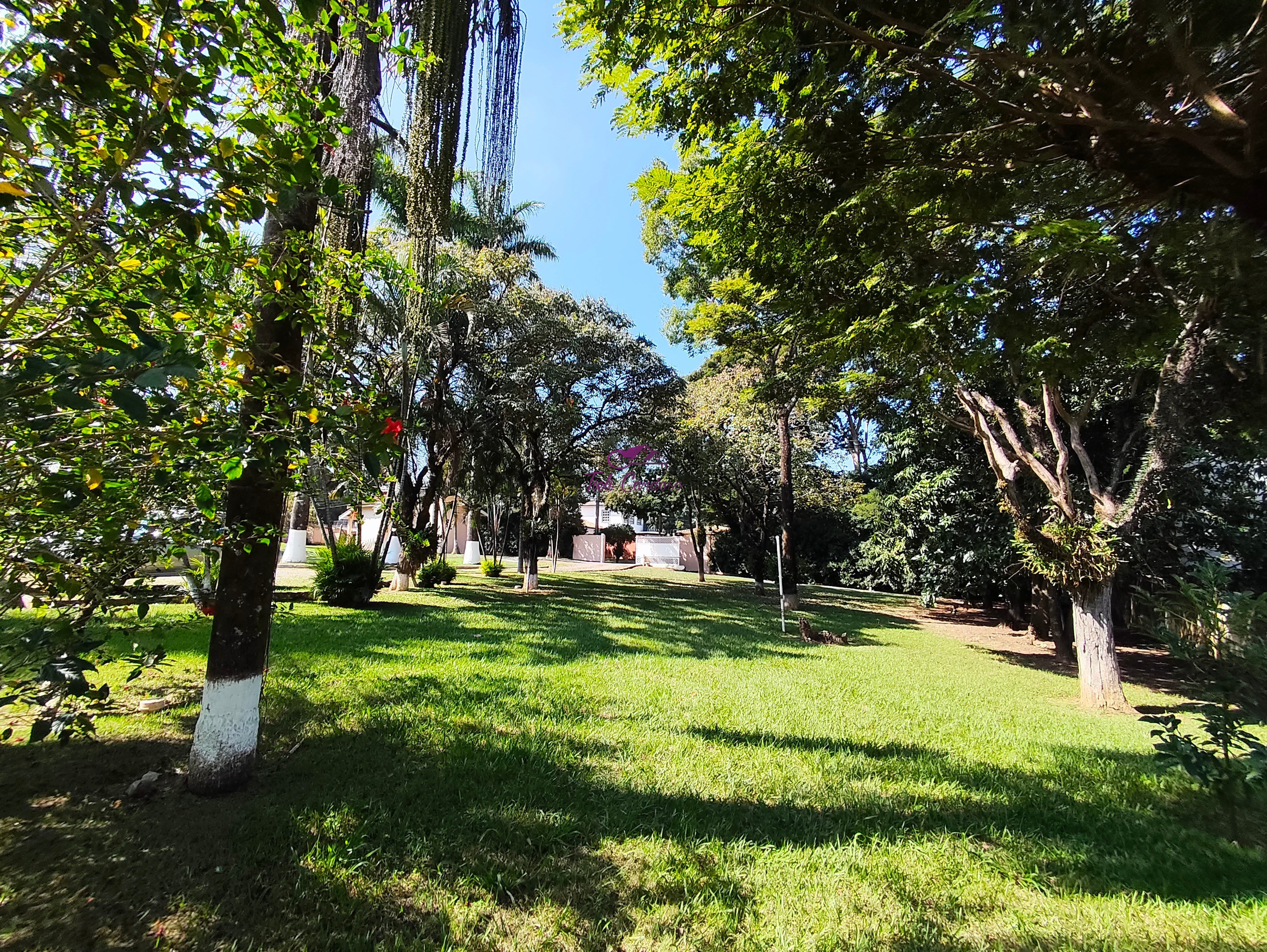 Chácara, 4 quartos - Foto 4