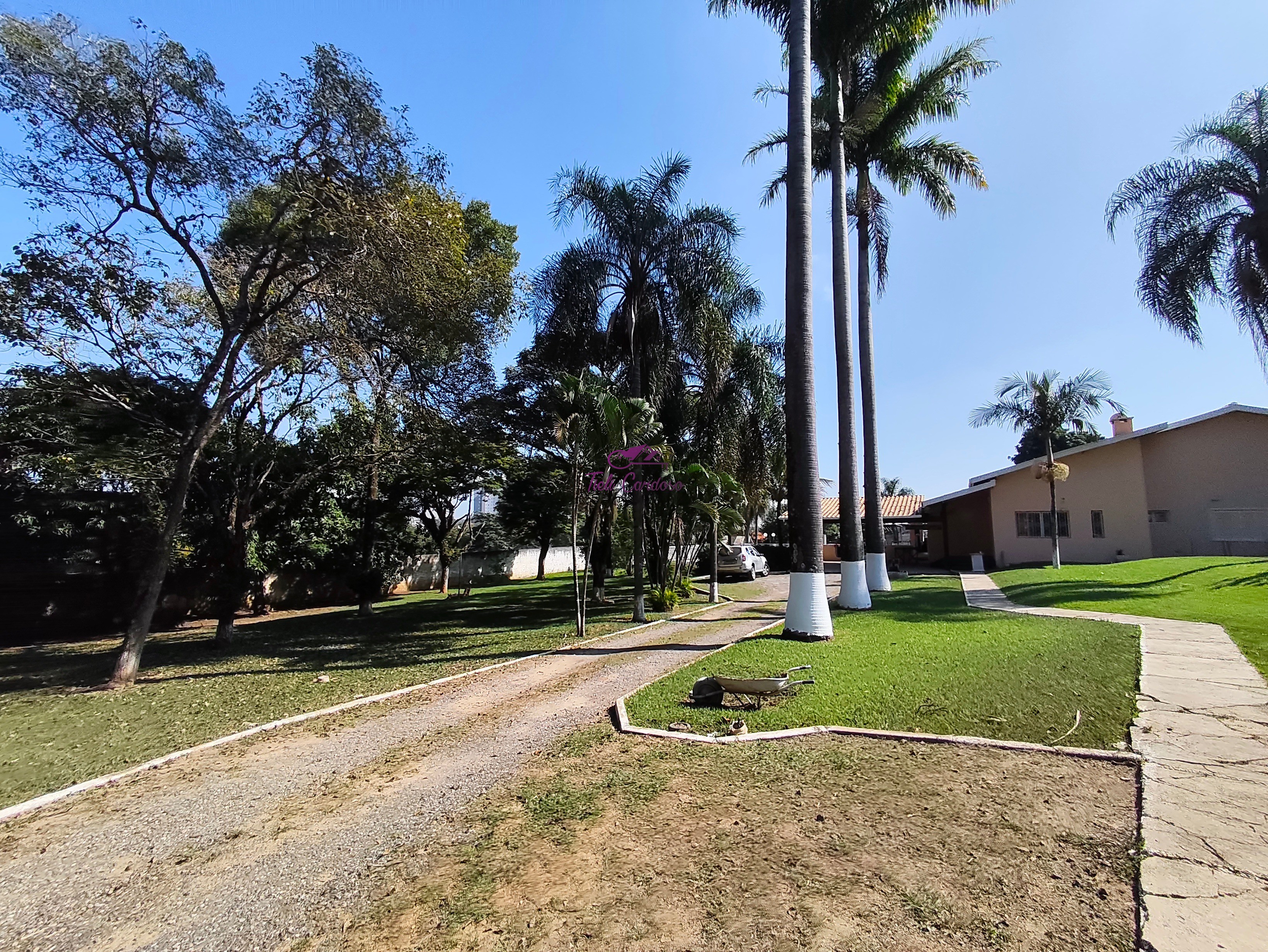 Chácara, 4 quartos - Foto 3