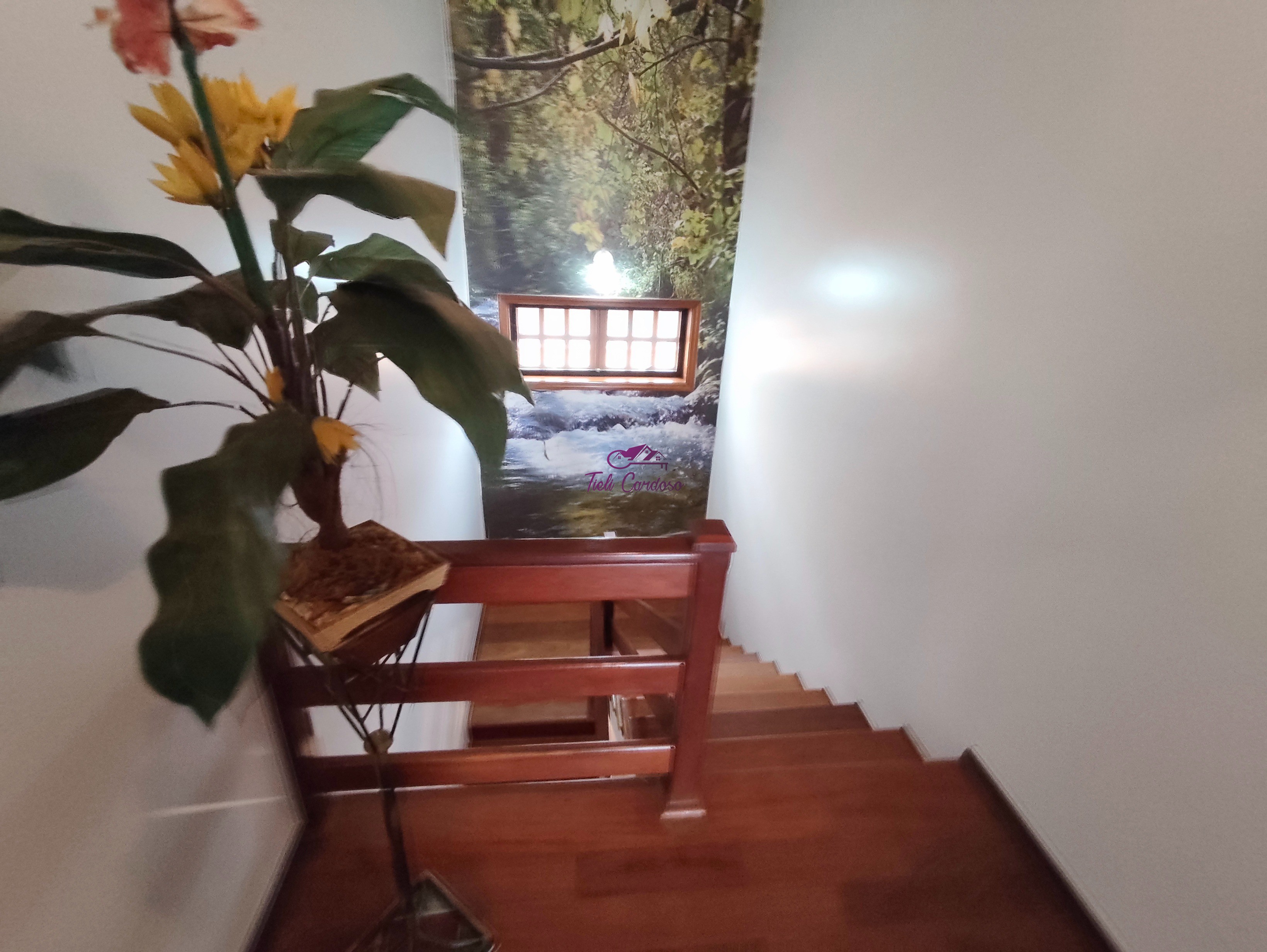 Casa, 3 quartos - Foto 42