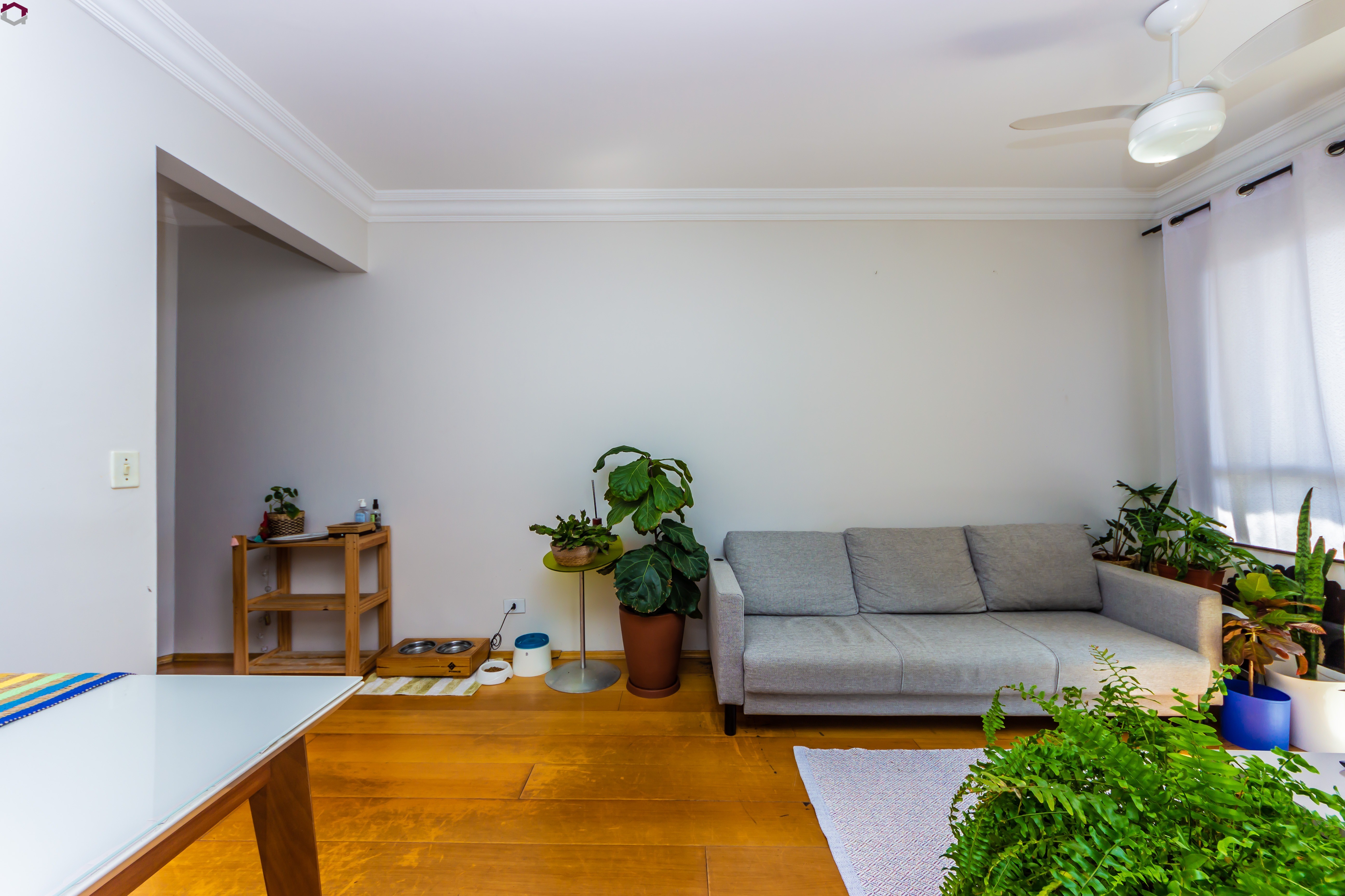 Apartamento, 2 quartos, 50 m² - Foto 2