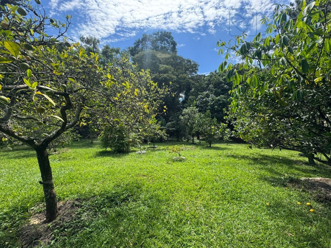 Chácara, 2 quartos, 6240 m² - Foto 1