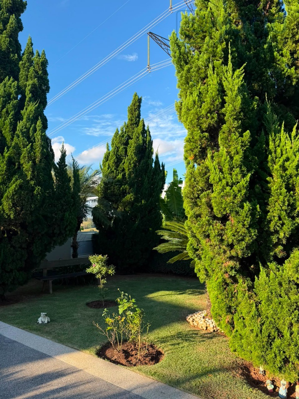 Casa, 5 quartos, 375 m² - Foto 18