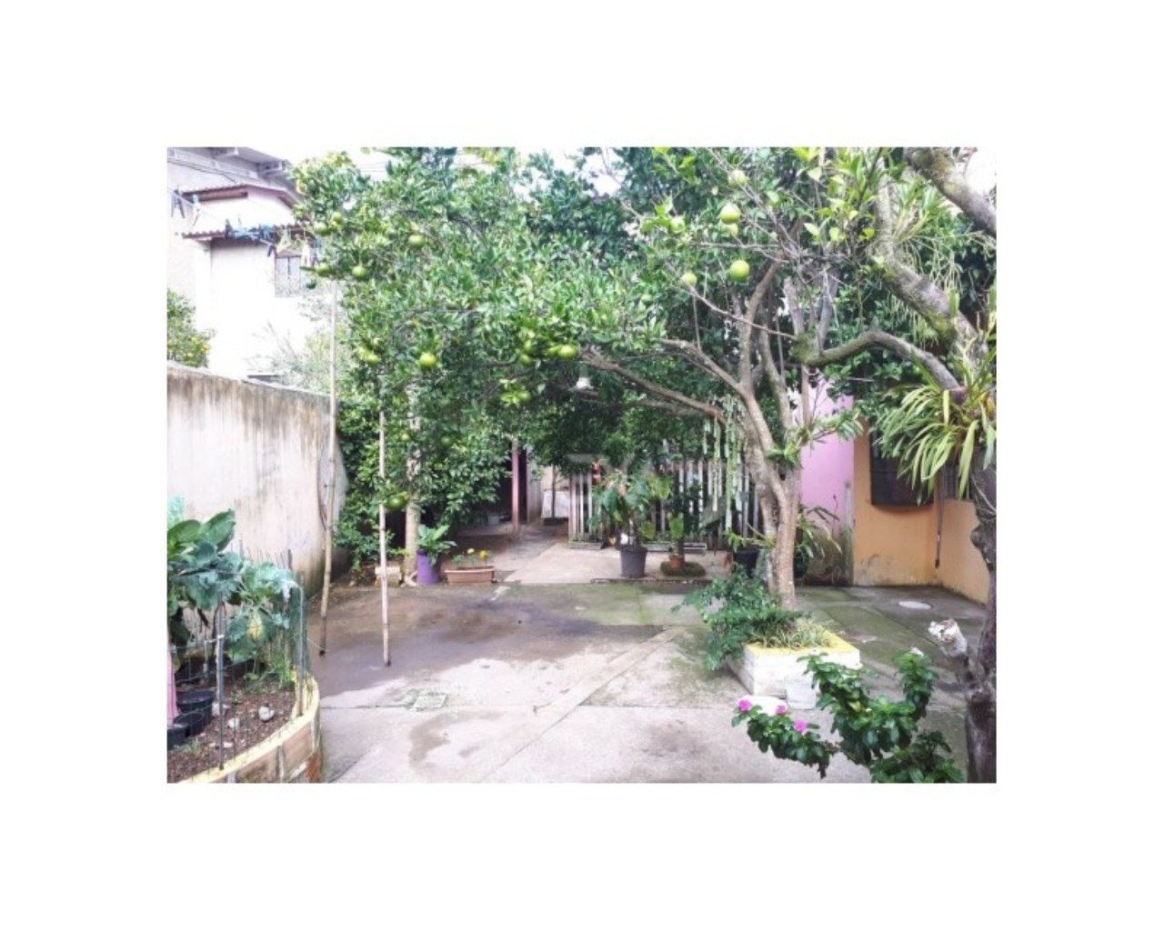 Casa, 3 quartos, 235 m² - Foto 15