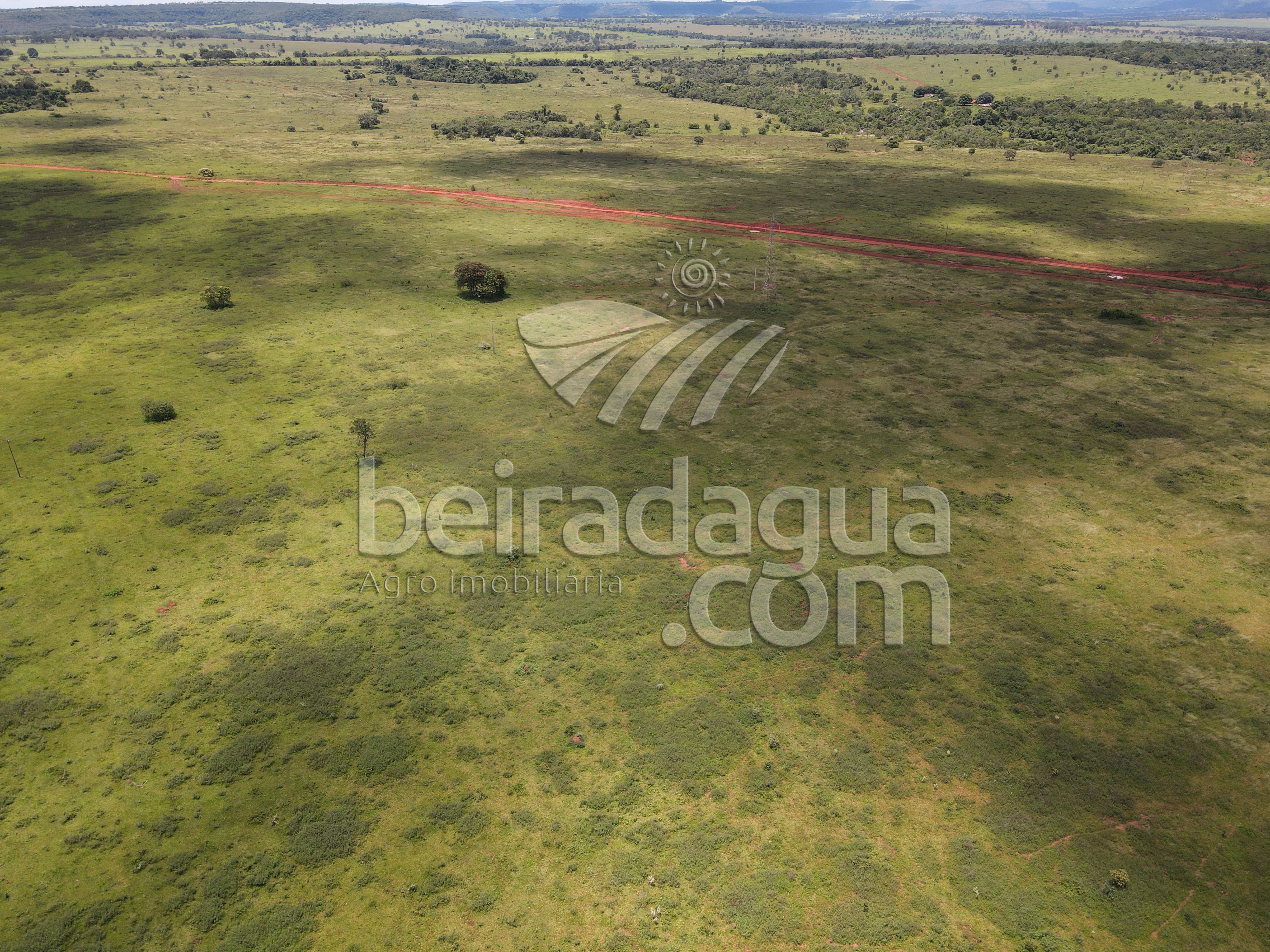 Fazenda para Comprar em Zona Rural - Campina Verde - MG