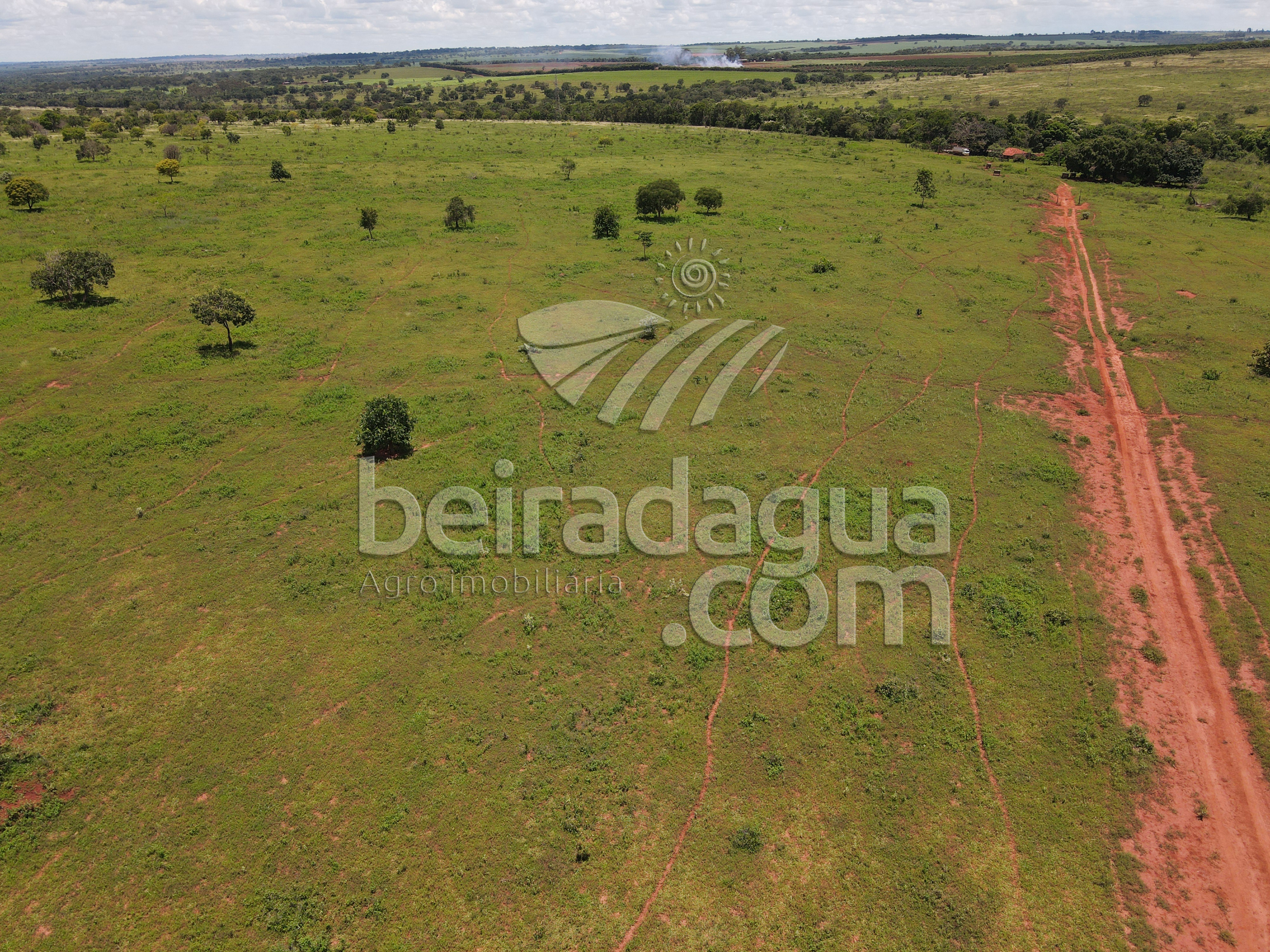 Fazenda para Comprar em Zona Rural - Campina Verde - MG