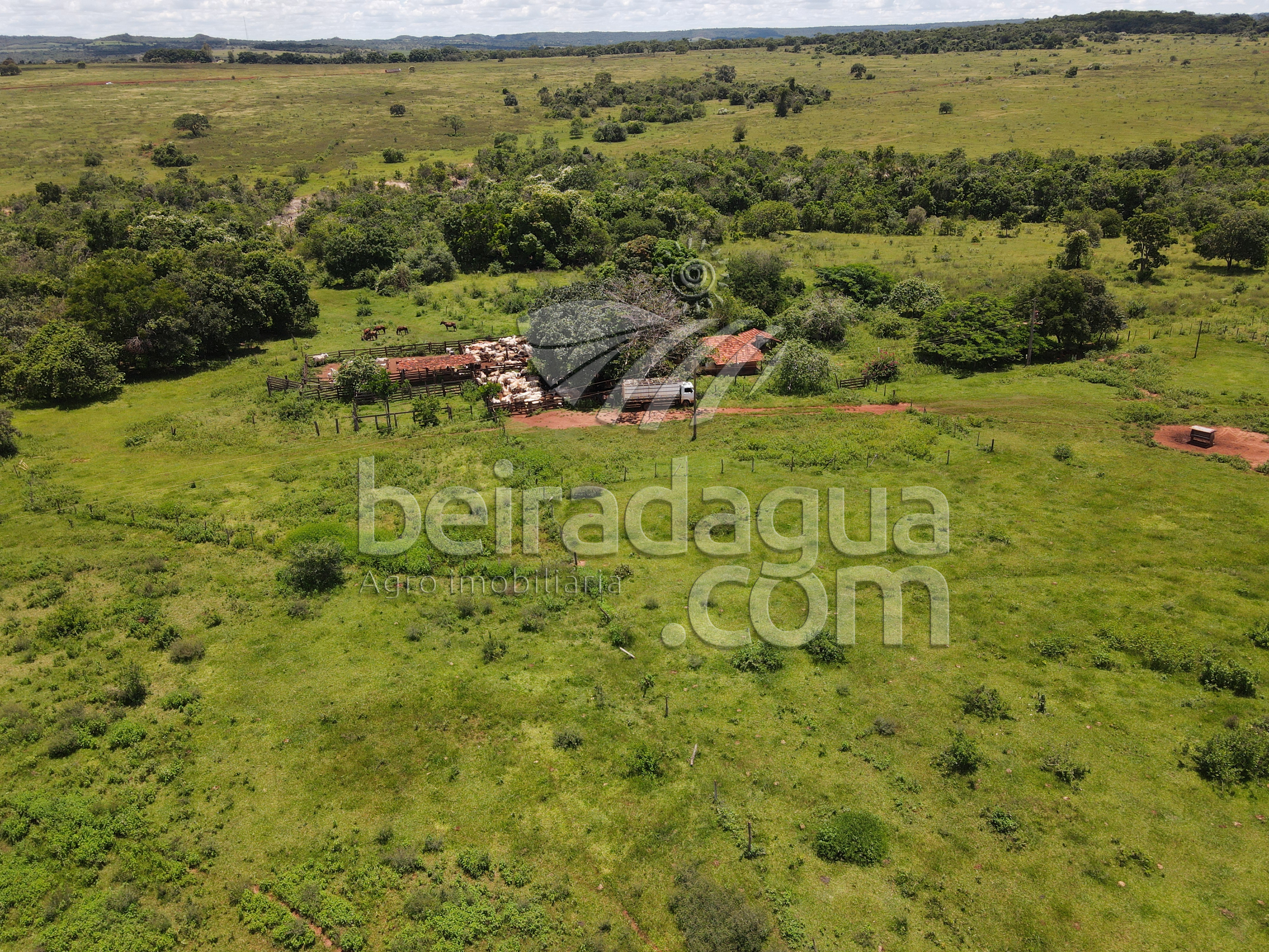 Fazenda para Comprar em Zona Rural - Campina Verde - MG