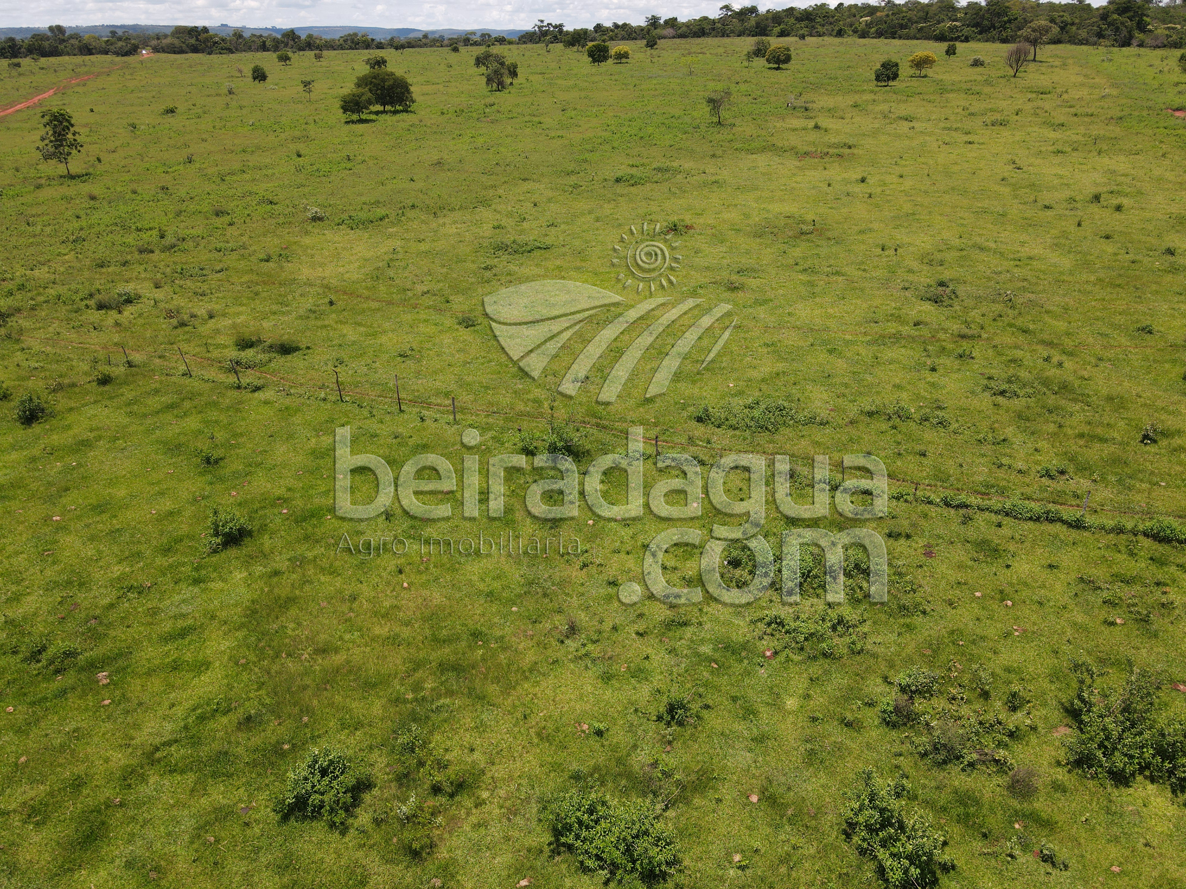 Fazenda para Comprar em Zona Rural - Campina Verde - MG