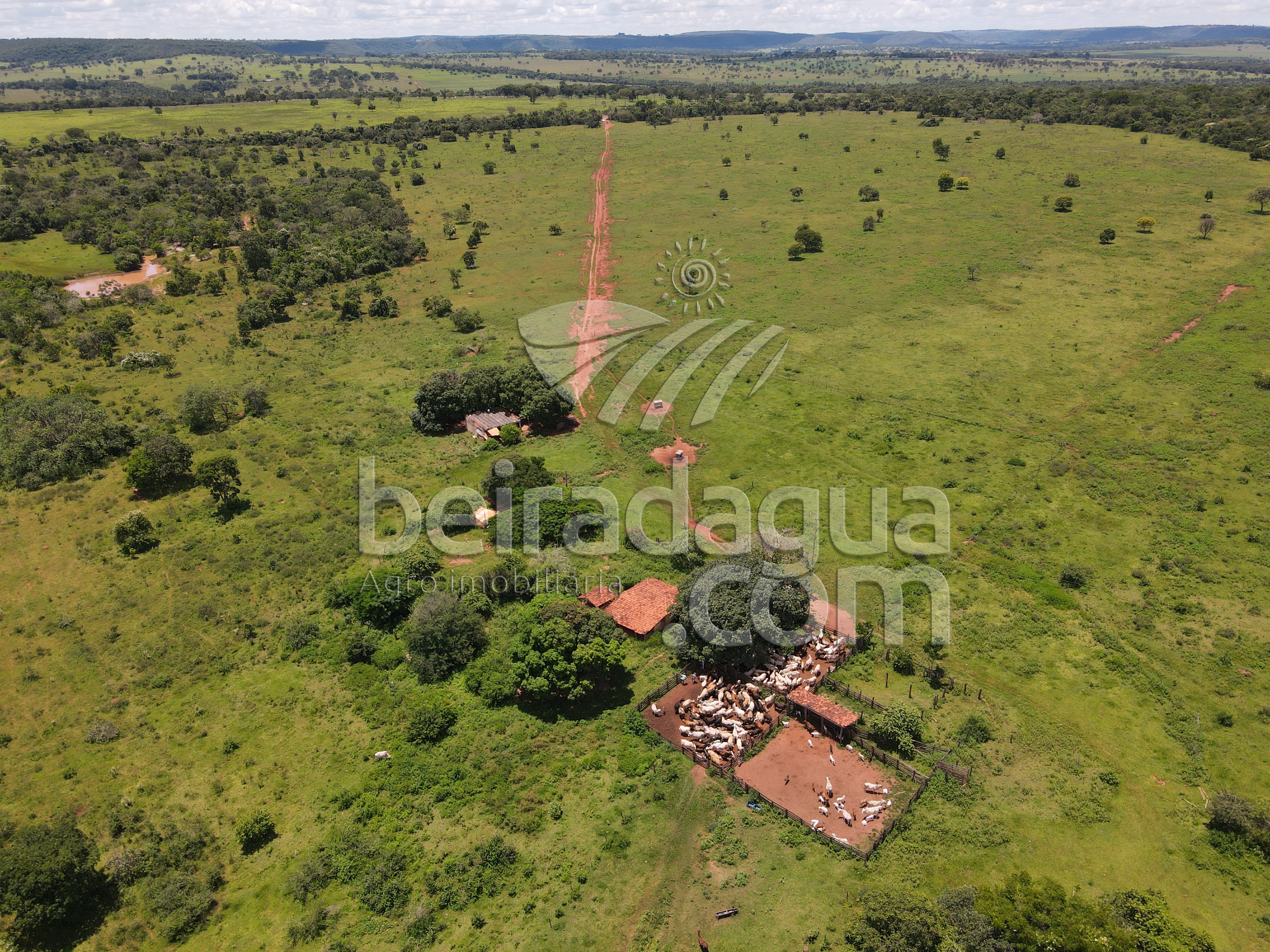 Fazenda para Comprar em Zona Rural - Campina Verde - MG